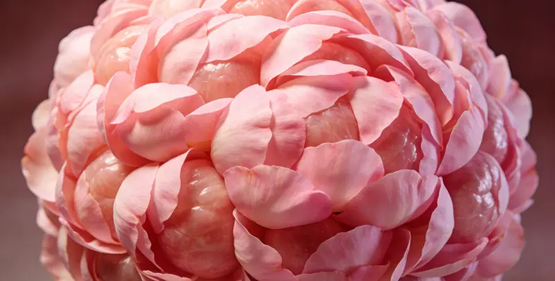 上饶BRCA1/2乳腺癌卵巢癌基因检测图片1